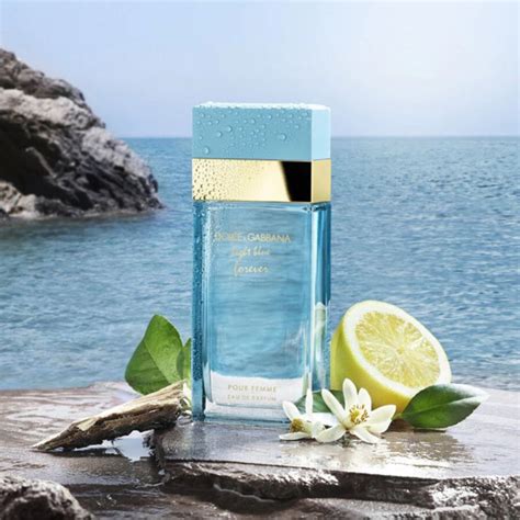 parfum dolce gabbana light blue femme|dolce gabbana light blue femme.